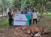 PT. KIP Bagikan 6 Hewan Kurban Untuk Warga
