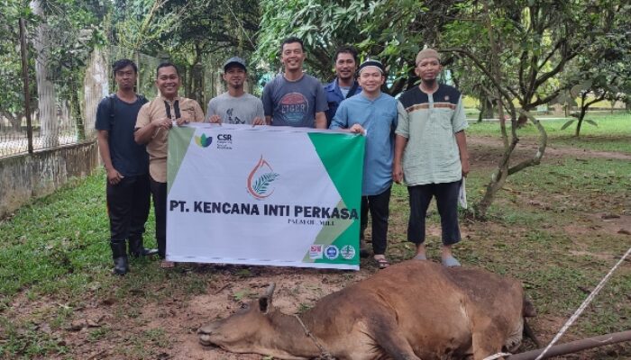 PT. KIP Bagikan 6 Hewan Kurban Untuk Warga