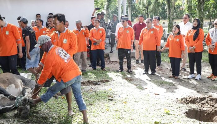 Wali Kota Pematangsiantar Saksikan Penyembelihan Hewan Kurban