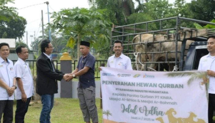 PT Kinra Serahkan 3 Ekor Sapi Kurban