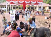 Polres Langkat Sembelih 12 Sapi Dan 5 Kambing
