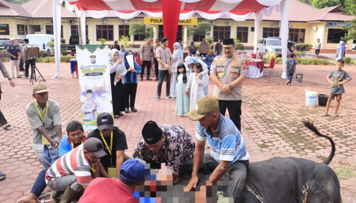 Polres Langkat Sembelih 12 Sapi Dan 5 Kambing