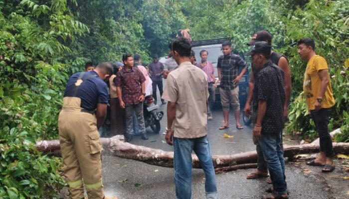 Hujan Deras Dan Angin Kencang Landa Aceh Besar