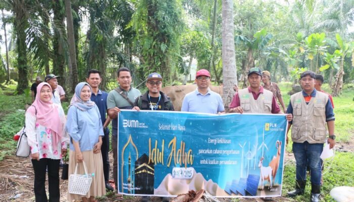 Di Penghujung Hari Tasyrik, IP Pangkalansusu Kurban 11 Ekor Sapi Dan 5 Ekor Kambing