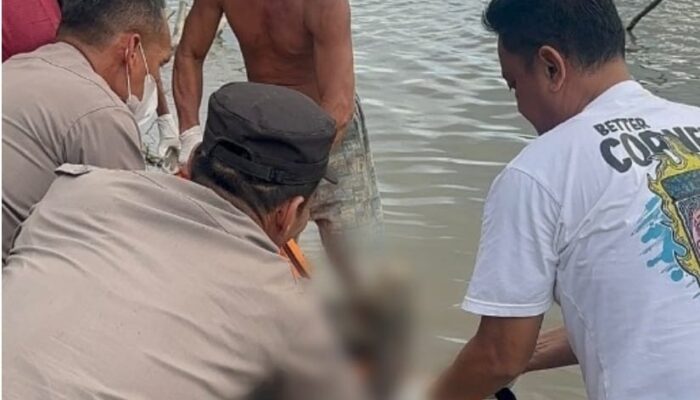 Mayat Tinggi Gemuk Di Sungai Batangtoru Tapsel