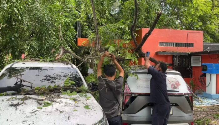 Pohon Tumbang Timpa Kantor Pos Dan Dua Mobil Di Medan, BMKG Beri Peringatan Cuaca Ekstrem