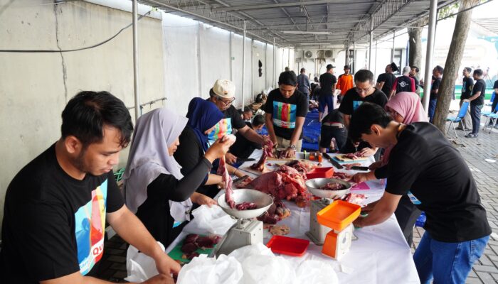 Rayakan Idul Adha 1446 H, PLN Salurkan 2.811 Ekor Hewan Kurban Ke Berbagai Daerah