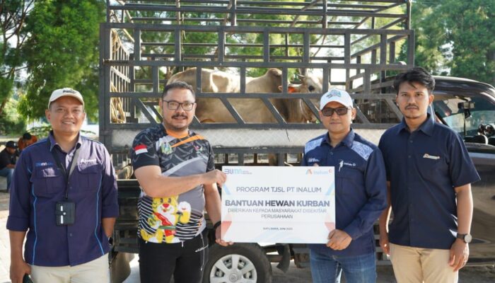 Jalin Kebersamaan Di Idul Adha 1446 H, Inalum Salurkan 47 Hewan Kurban