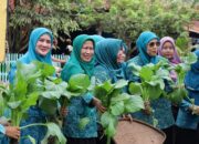TP PKK Madina Monitoring Desa Binaan