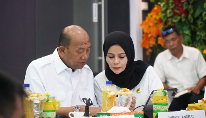 Bupati Langkat Tampilkan Inovasi TPAKD Di Forum Nasional OJK