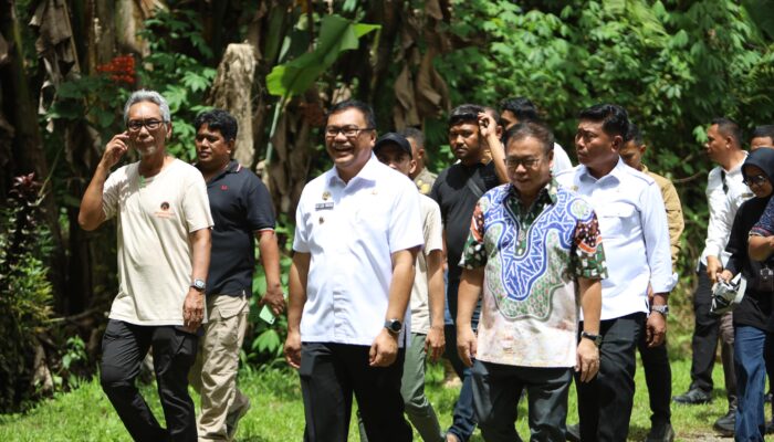 Pemkab Deliserdang Akan Jadikan Orang Utan Haven Destinasi Wisata Edukasi