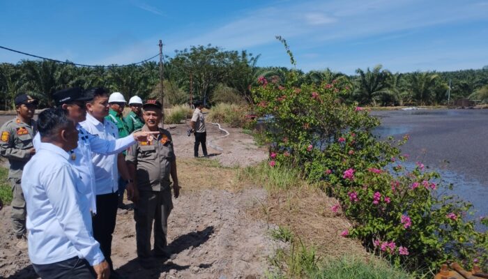 Hanya Dua Pabrik Kelapa Sawit Di Palas Yang Kantongi SLO