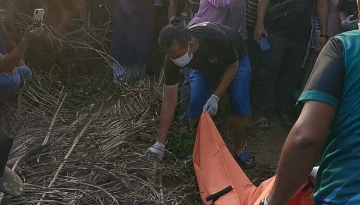 Kematian Centeng Kebun Di Silangkitang Terungkap