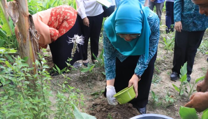 TP PKK Kota Binjai Serahkan Bantuan Di Hari Lingkungan Hidup Sedunia 2025