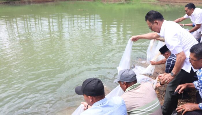 Wujudkan Tapsel Swasembada Ikan, Camat Angkola Timur: Kami Siap