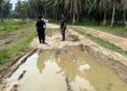 Muhammad Yunus Tinjau Jalan Blok Lima Blang Kandis Penuh Kubangan