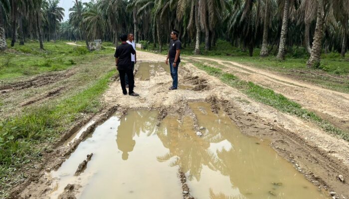 Muhammad Yunus Tinjau Jalan Blok Lima Blang Kandis Penuh Kubangan