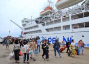 Harga Tiket Dipangkas 50 Persen, Penumpang Kapal PELNI Melonjak Hingga 120 Persen