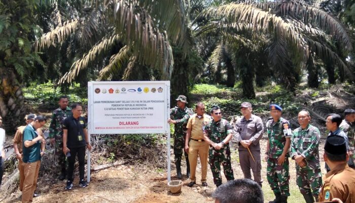 APKASINDO Apresiasi Satgas PKH Segel Ribuan Hektar Sawit Di Paluta