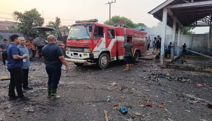 Bersihkan Sampah Organik, Pemerintahan Kecamatan Percut Seituan Gotong Royong