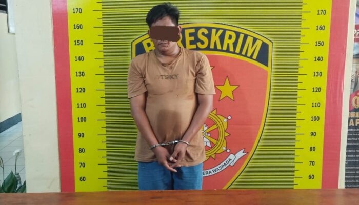 Polisi Ringkus Pengedar Sabu Di Kebun Sawit Palas