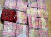 Sepanjang 2025, BC Langsa Dan Tim NIC Bareskrim Polri Amankan 584.650 Kg Sabu Dan Kokain