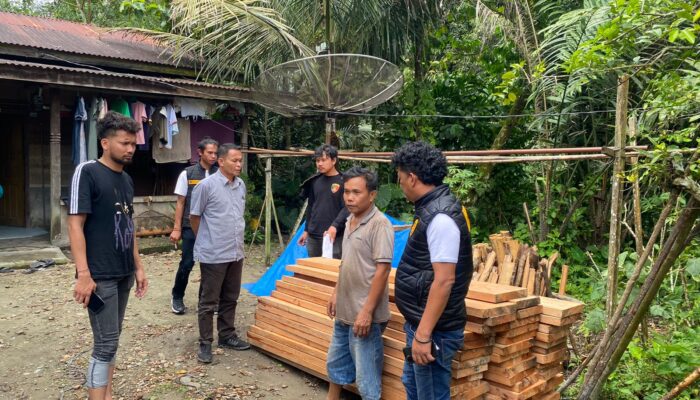 Polres Humbahas Ungkap Penebangan Di Kawasan Hutan