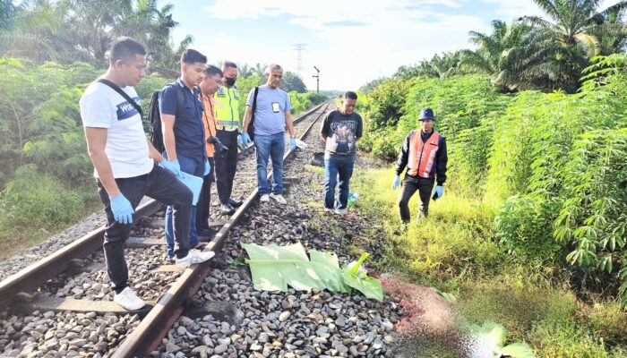 Pejabat Batubara Tewas Ditabrak KA