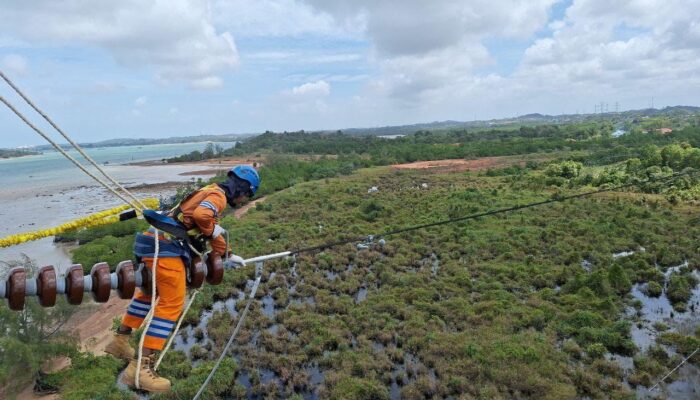 Wujud Kontribusi Ke Negara, PLN Setor Rp65,59 T Lewat Dividen, Pajak, PNBP