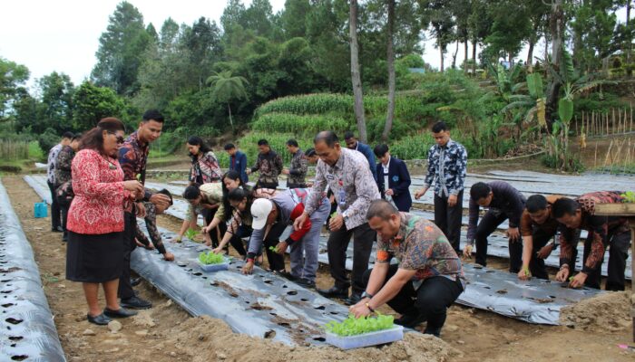 Lapas Siborongborong Tanam 1.500 Bibit Terong Ungu, Wujudkan Ketahanan Pangan