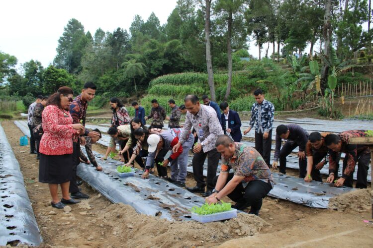 Lapas Siborongborong Tanam 1.500 Bibit Terong Ungu, Wujudkan Ketahanan Pangan