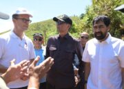 Gubernur Aceh Komit Atasi Konflik Manusia-Gajah