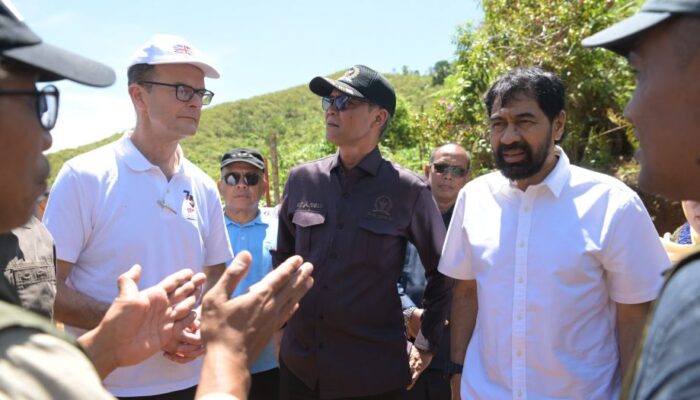 Gubernur Aceh Komit Atasi Konflik Manusia-Gajah
