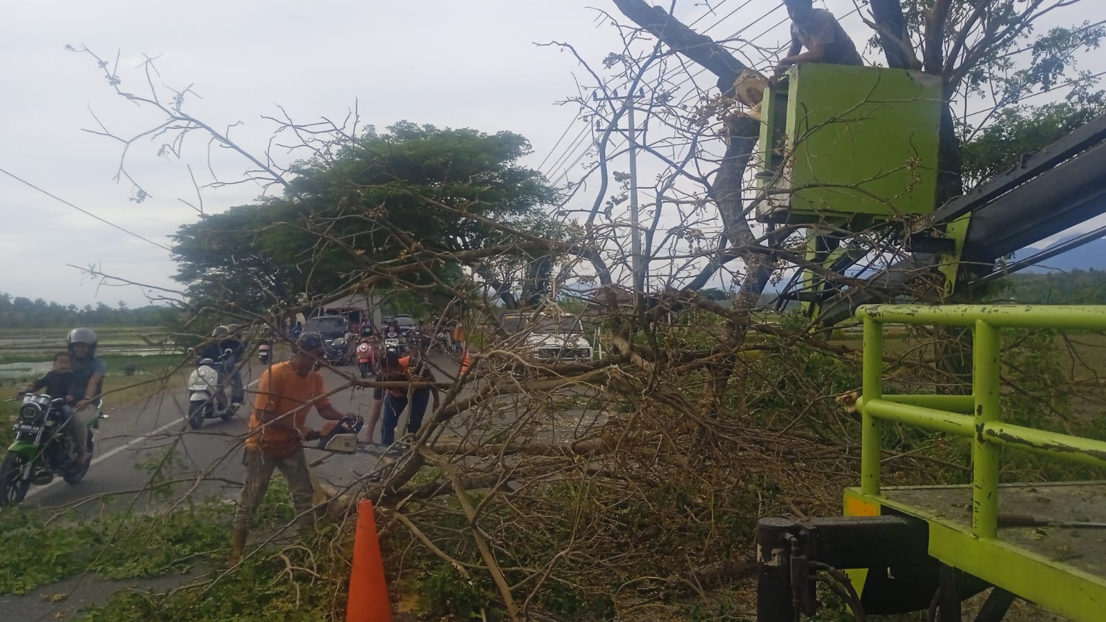Tindaklanjut Laporan Warga, DLH Aceh Besar Potong Dahan Pohon Retak