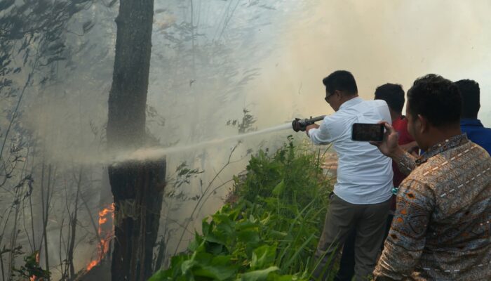Si Jago Merah Ngamuk, 100 Hektare Lahan Di Perbukitan Danau Toba Hangus
