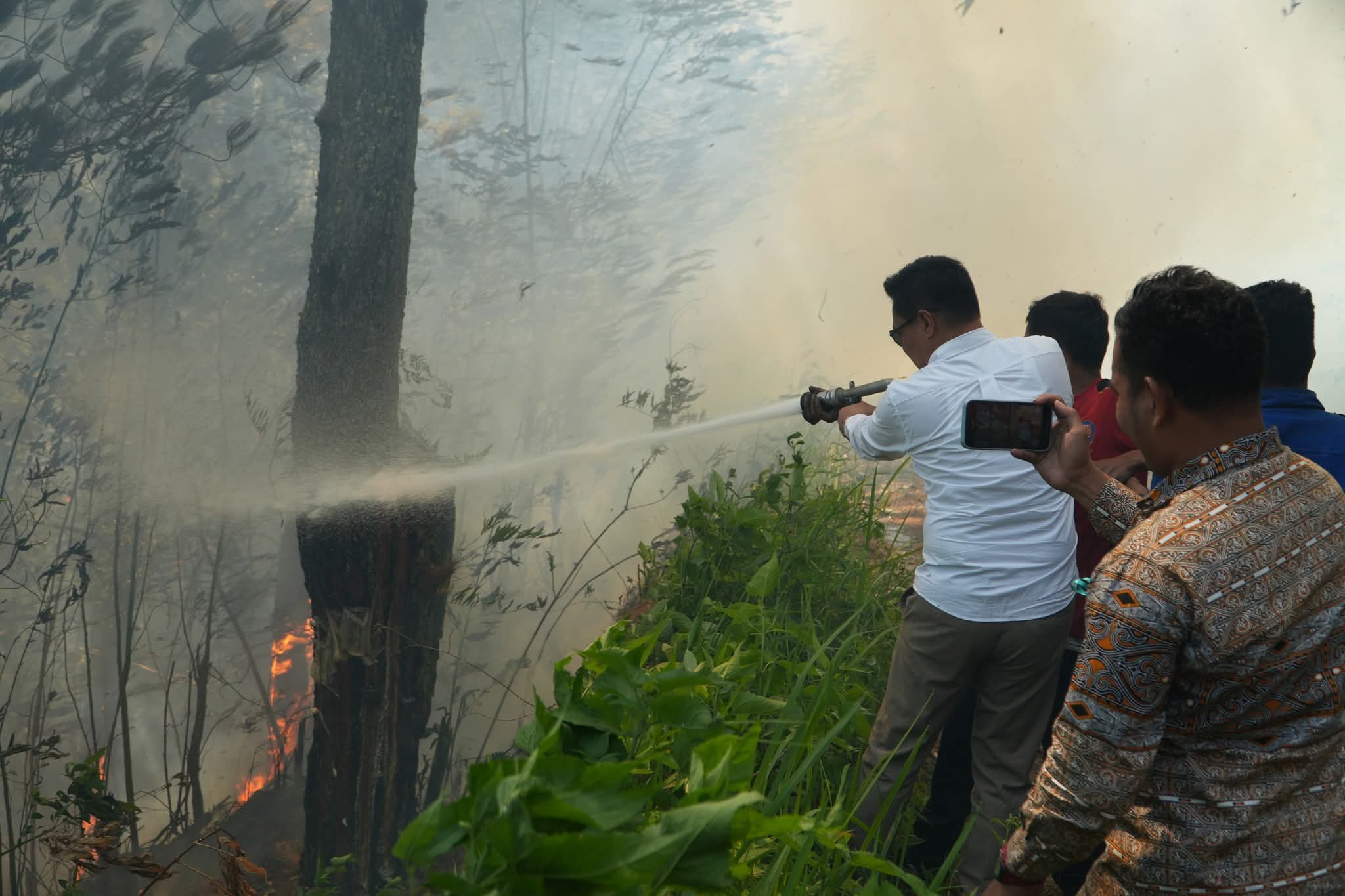 Si Jago Merah Ngamuk, 100 Hektare Lahan Di Perbukitan Danau Toba Hangus