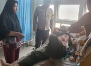Warga Bener Meriah Diserang Gajah, BKSDA Didesak Bertindak Cepat