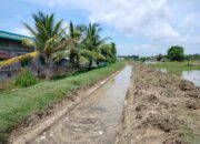 Ribuan Lahan Sawah Pesisir Seunuddon Dialiri Melalui Sub DI Panton Labu
