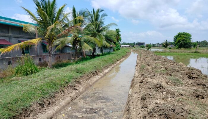 Ribuan Lahan Sawah Pesisir Seunuddon Dialiri Melalui Sub DI Panton Labu