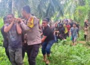 Sungai Peureulak Kian Mengancam, Pencari Kerang Tewas Diterkam Buaya
