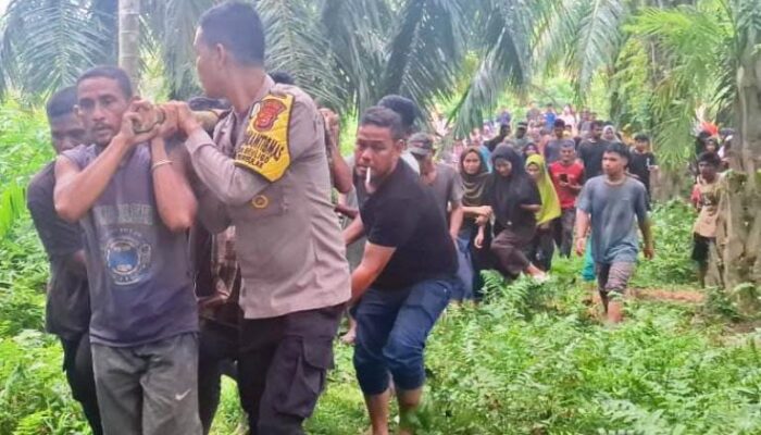 Sungai Peureulak Kian Mengancam, Pencari Kerang Tewas Diterkam Buaya