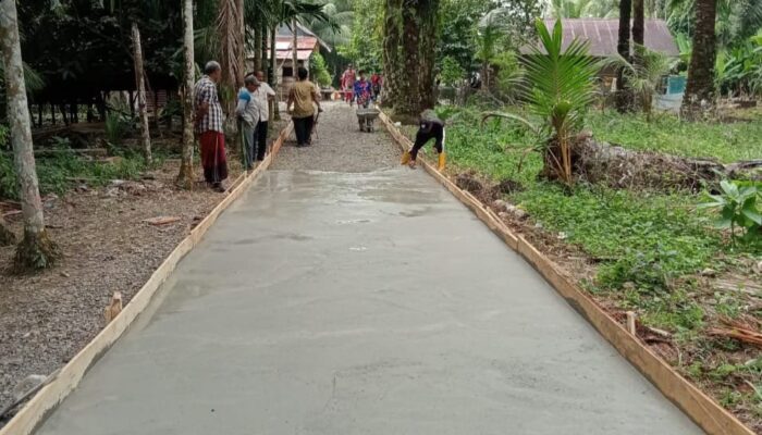 Kuta Padang Bangun Jalan Rabat Beton Dan Penerangan Jalan Dari Dana Desa