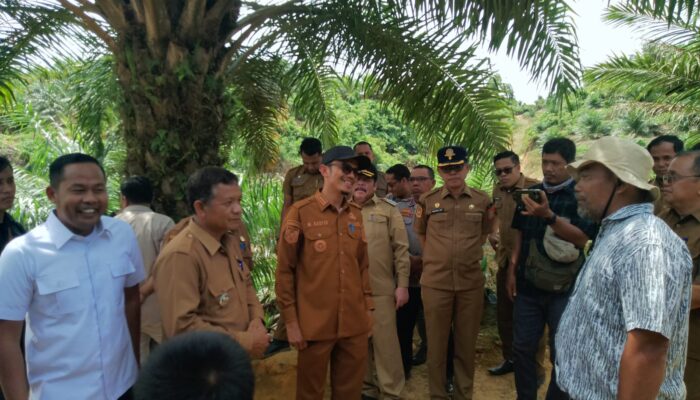LAKI Apresiasi Sidak Wali Kota Subulussalam ke PT SPT