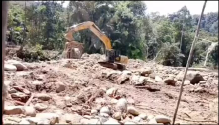 PETI Diduga Marak Di Siulangaling Madina
