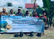 Dosen UNIMED Dorong Produktivitas Pisang Cavendish Lewat Teknologi Kultur Jaringan