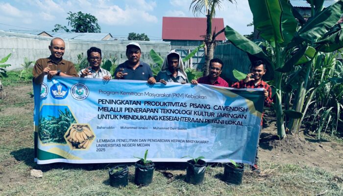 Dosen UNIMED Dorong Produktivitas Pisang Cavendish Lewat Teknologi Kultur Jaringan