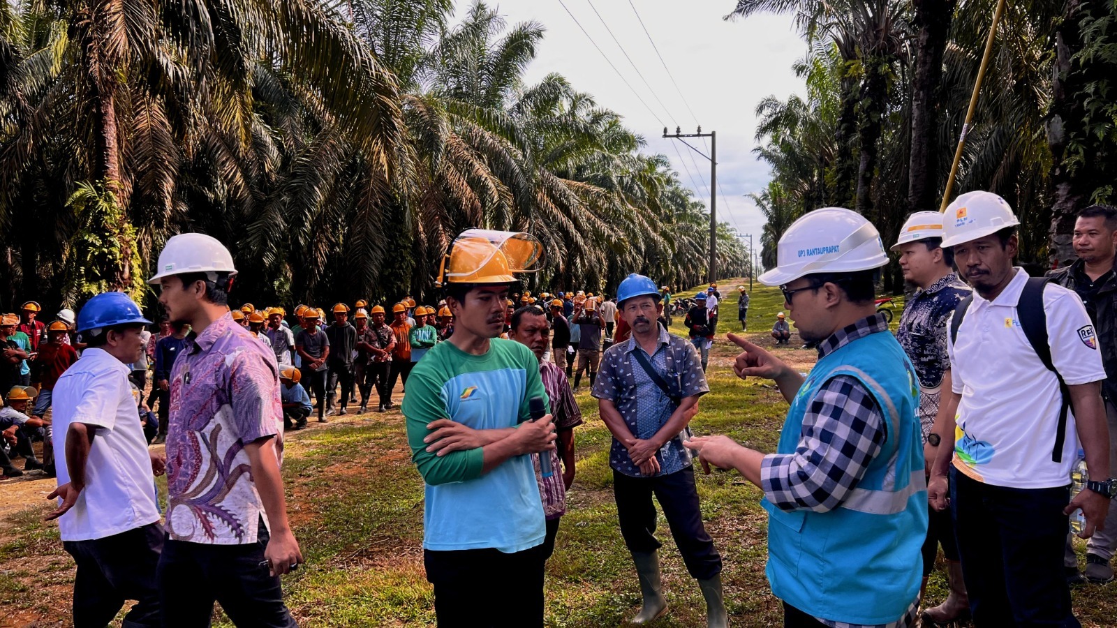 Tingkatkan Keselamatan Kerja, PLN Edukasi Bahaya Listrik Saat Panen Sawit