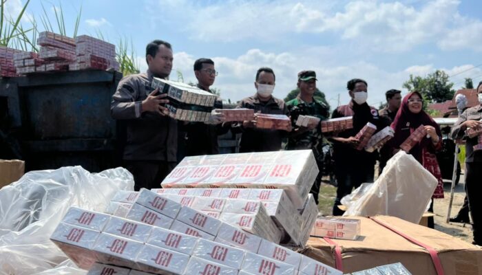 Kejari Labusel Musnahkan Ribuan Rokok Tanpa Cukai