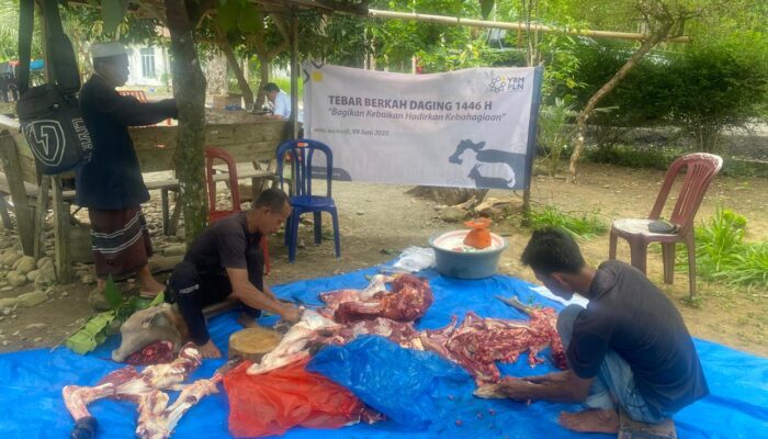 PLN Tebar Berkah Daging Qurban Untuk Warga Labuhan Haji Barat