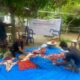 PLN UIP SBU melalui PLN Unit Pelaksana Proyek (UPP) SBU 1 bersama Yayasan Baitul Maal (YBM) PLN menggelar kegiatan sosial bertajuk Tebar Berkah Daging di Desa Iku Lhung, Kecamatan Labuhan Haji Barat, Kabupaten Aceh Selatan, Minggu (15/6/2025).
